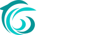 Labuan Bajo Trip