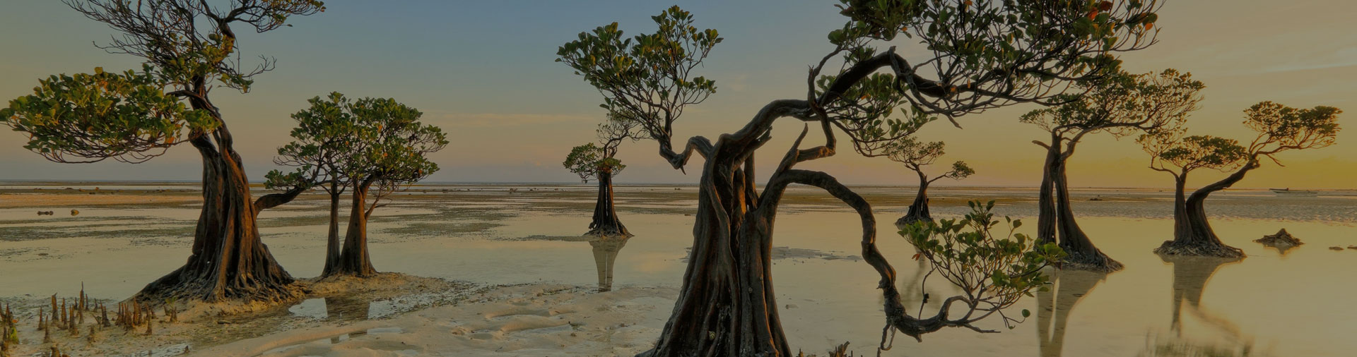 Exotic Sumba